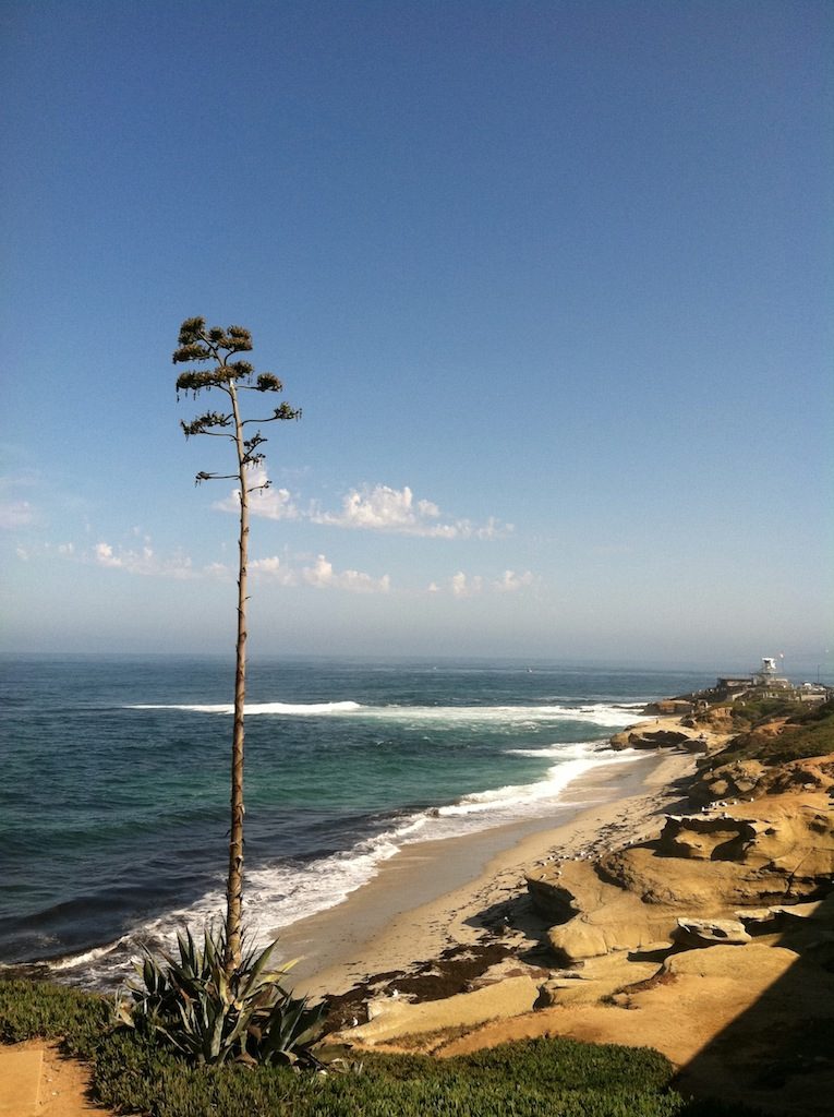 Mary Shannon La Jolla