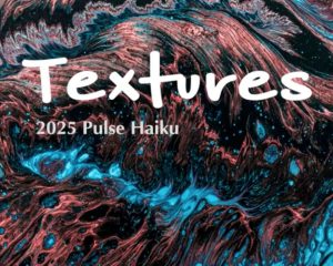 Textures: 2025 Pulse Haiku